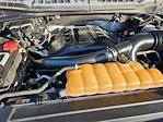 2015 Ford F-150 SuperCrew Cab 4WD Pickup for sale #1FX0633A - photo 33