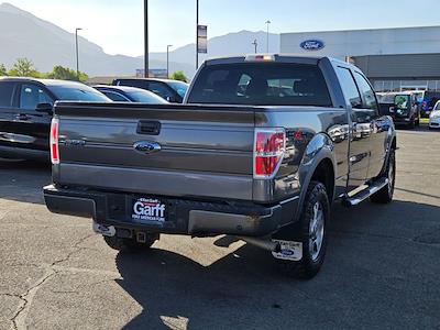 2009 Ford F-150 SuperCrew Cab 4WD Pickup for sale #1FX0661B - photo 2