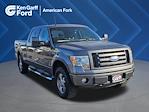 2009 Ford F-150 SuperCrew Cab 4WD Pickup for sale #1FX0661B - photo 1