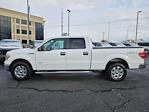 2014 Ford F-150 SuperCrew Cab 4WD Pickup for sale #1FX0899Z - photo 6