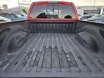 2002 Dodge Ram 1500 Quad Cab 4WD Pickup for sale #1FX1163B - photo 23