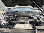 2021 Ford F-150 SuperCrew Cab 4WD Pickup for sale #MFC73016T - photo 10