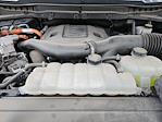 2023 Ford F-150 SuperCrew Cab 4WD Pickup for sale #PFB32296T - photo 33