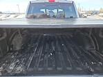2023 Ford F-150 SuperCrew Cab 4WD Pickup for sale #PFB61643W - photo 29