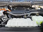 2023 Ford F-150 SuperCrew Cab 4WD Pickup for sale #PFD07025W - photo 29