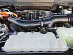 2024 Ford F-150 SuperCrew Cab 4WD Pickup for sale #RFA21020W - photo 31