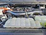 2024 Ford F-150 SuperCrew Cab 4WD Pickup for sale #RFA21315W - photo 28