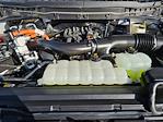 2025 Ford F-150 SuperCrew Cab 4WD Pickup for sale #SFA04858 - photo 33