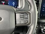 2024 Ford F-150 SuperCrew Cab 4x4 Pickup for sale #27213A - photo 17