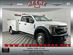 2020 Ford F-450 Crew Cab DRW RWD Service Truck for sale #P3990 - photo 1
