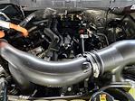 2024 Ford F-150 SuperCrew Cab 4x4 Pickup for sale #P9922 - photo 31