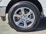 2023 Ford F-150 SuperCrew Cab 4WD Pickup for sale #P9993 - photo 10