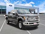 2017 Ford F-250 Crew Cab 4WD Pickup for sale #SEE00864B - photo 6