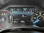 2020 Ford F-150 SuperCrew Cab 4x4 Pickup for sale #SFA52196A - photo 15