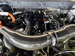 2025 Ford F-150 SuperCrew Cab 4WD Pickup for sale #SFB02939A - photo 30