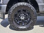 2024 Ford F-250 Crew Cab 4x4 Pickup for sale #SFB26340A - photo 10
