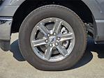 2025 Ford F-150 SuperCrew Cab RWD Pickup for sale #SKD72350A - photo 19