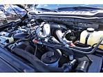 2024 Ford F-250 Crew Cab 4WD Pickup for sale #TEC91048A - photo 29