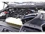 2023 Ford F-150 SuperCrew Cab 4WD Pickup for sale #TEC91048B - photo 33