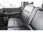 2024 Ford F-350 Crew Cab SRW 4WD Pickup for sale #TED44300A - photo 11