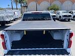 2024 Chevrolet Silverado 1500 Crew Cab RWD Pickup for sale #1270 - photo 17