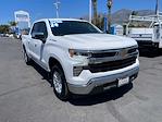 2024 Chevrolet Silverado 1500 Crew Cab RWD Pickup for sale #1270 - photo 3