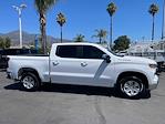 2024 Chevrolet Silverado 1500 Crew Cab RWD Pickup for sale #1270 - photo 9