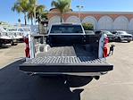 2024 Chevrolet Silverado 2500 Crew Cab SRW 4WD Pickup for sale #1321R - photo 20