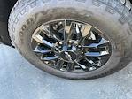 2025 Chevrolet Silverado 3500 Crew Cab 4WD Pickup for sale #25416 - photo 48
