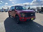 New 2025 Ford F-150 XLT SuperCrew Cab for sale #25F712 - photo 9