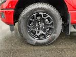 New 2025 Ford F-150 XLT SuperCrew Cab for sale #25F724 - photo 11