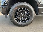 New 2026 Ford F-150 STX SuperCrew Cab for sale #26F84 - photo 10