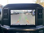 New 2026 Ford F-150 STX SuperCrew Cab for sale #26F84 - photo 15