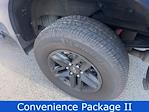 2020 Chevrolet Silverado 1500 Crew Cab 4x4 Pickup for sale #264729XA - photo 13