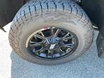 2024 Chevrolet Silverado 2500 Regular Cab 4WD Pickup for sale #FR9606XA - photo 15