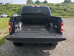2019 Ford F-150 SuperCrew Cab 4x4 Pickup for sale #KJ24537A - photo 10