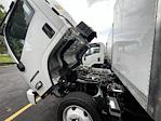 New 2025 Isuzu NQR Regular Cab 18' Morgan Truck Body Box Truck for sale #GM8779 - photo 6