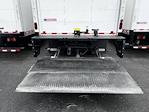 New 2025 Isuzu NQR Regular Cab 18' Morgan Truck Body Box Truck for sale #GM8779 - photo 8