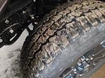 New 2024 Ram 2500 Big Horn Crew Cab 4x4 Pickup for sale #15D24033 - photo 10