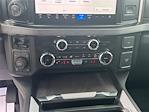 2024 Ford F-250 Crew Cab 4x4 Pickup for sale #J6670A - photo 16