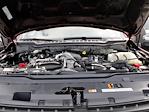 2024 Ford F-350 Crew Cab SRW 4x4 Pickup for sale #J6680 - photo 20