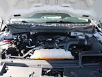 2024 Ford F-150 Regular Cab 4x4 Pickup for sale #J6820A - photo 19