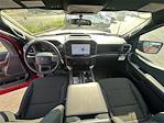 New 2025 Ford F-150 STX SuperCrew Cab 4x4 Pickup for sale #J7079 - photo 21
