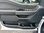New 2025 Ford F-150 XLT SuperCrew Cab 4WD Pickup for sale #J7286 - photo 13
