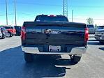 2025 Ford F-150 SuperCrew Cab 4WD Pickup for sale #J7479 - photo 7