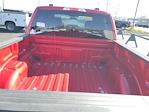 New 2025 Ford F-150 STX SuperCrew Cab 4x4 Pickup for sale #J7510 - photo 3