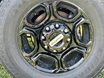 2024 Ford F-250 Regular Cab 4x4 Pickup for sale #JM3039F - photo 25