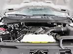 New 2025 Ford F-150 XL Regular Cab Pickup for sale #JM3167F - photo 19