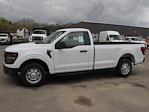 New 2025 Ford F-150 XL Regular Cab Pickup for sale #JM3167F - photo 3