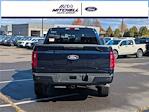 2025 Ford F-150 SuperCrew Cab 4WD Pickup for sale #40006 - photo 4
